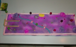 Candy Course